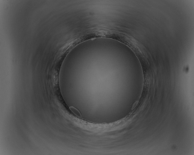 X0000091640043200708231209