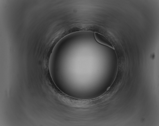 X0000091640044200708231209