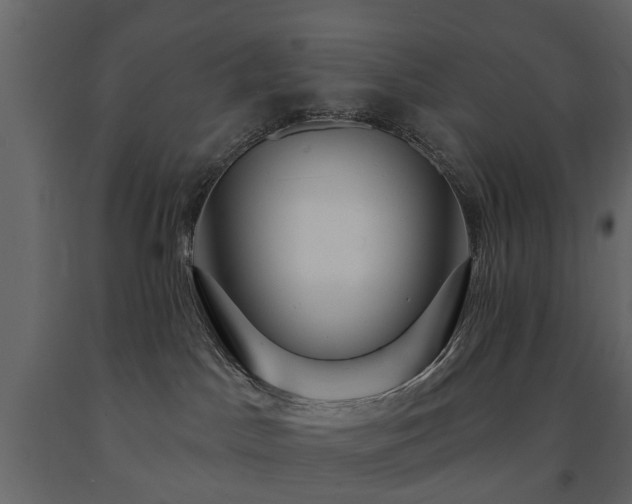 X0000091640045200708231209