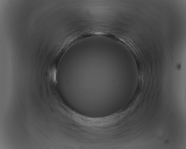 X0000091640046200708231209