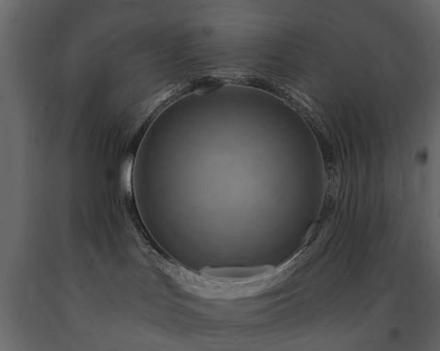 X0000091640047200708231209