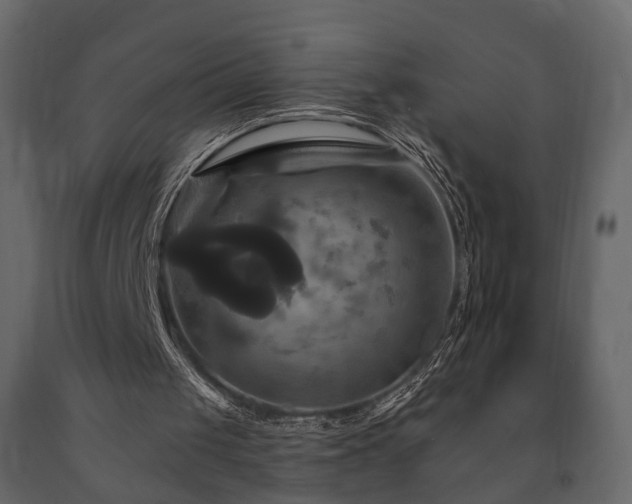 X0000091640049200708231208