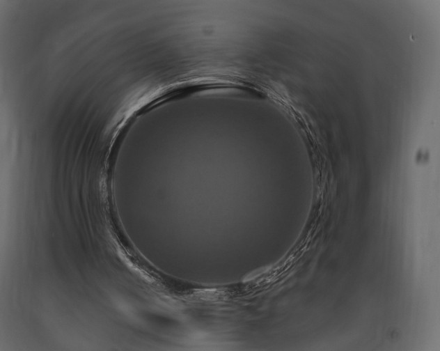X0000091640050200708231208