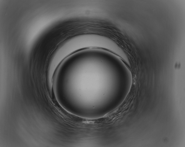 X0000091640052200708231208
