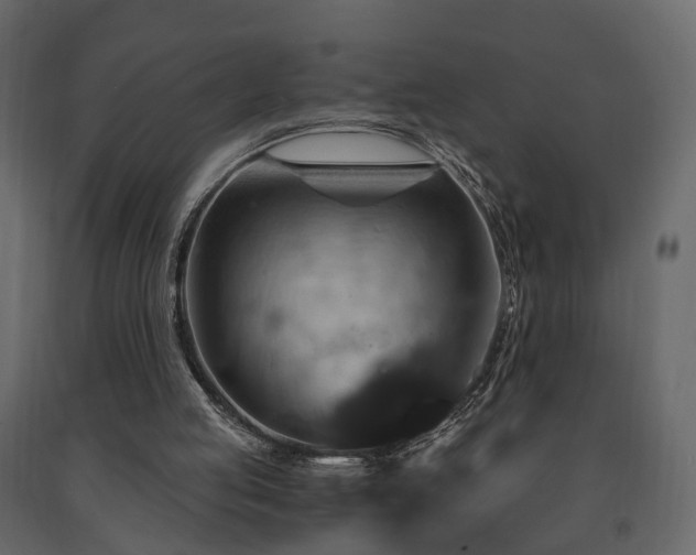 X0000091640053200708231208
