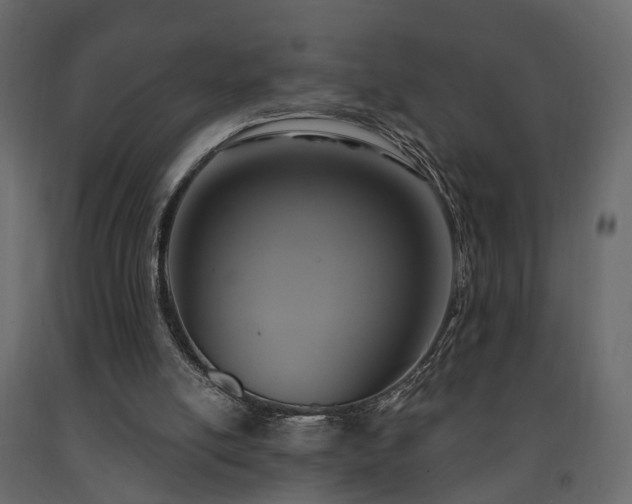 X0000091640054200708231208