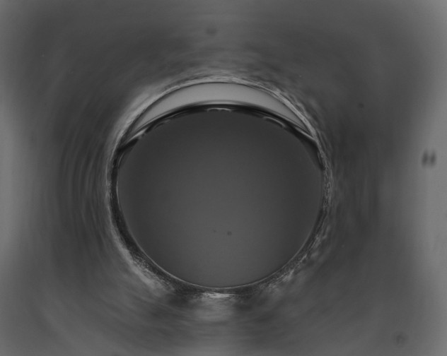 X0000091640055200708231208