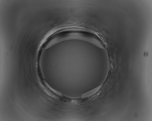 X0000091640056200708231208