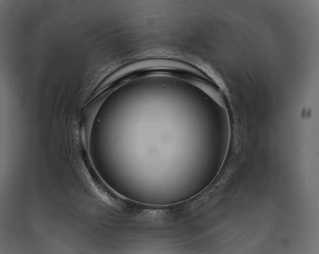X0000091640057200708231208
