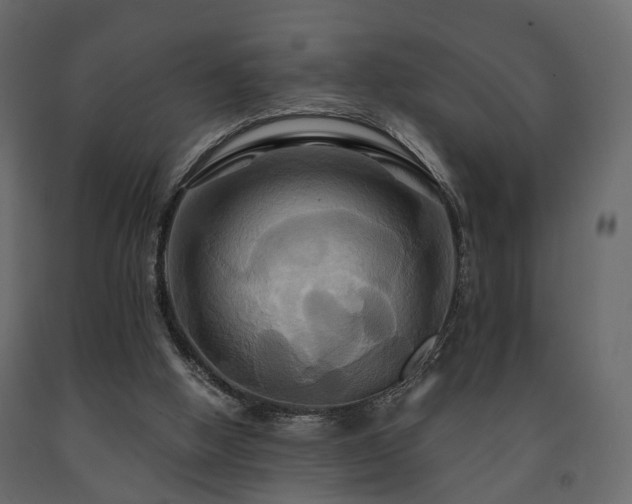 X0000091640058200708231208