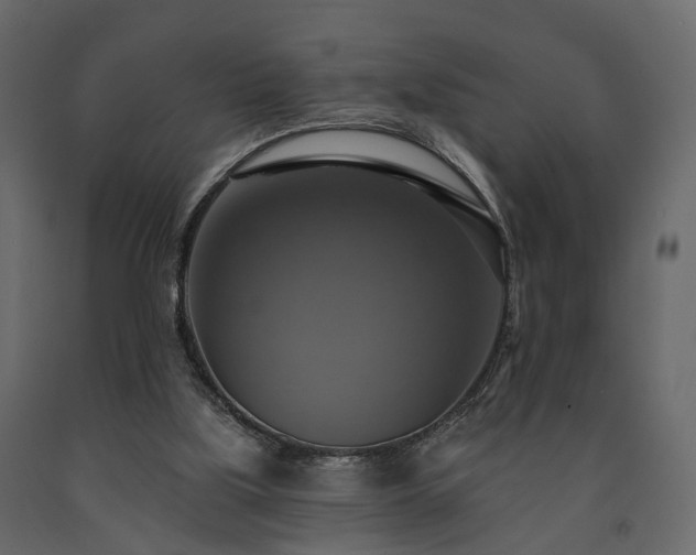 X0000091640059200708231208