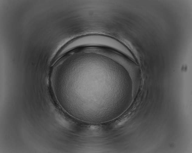 X0000091640060200708231208