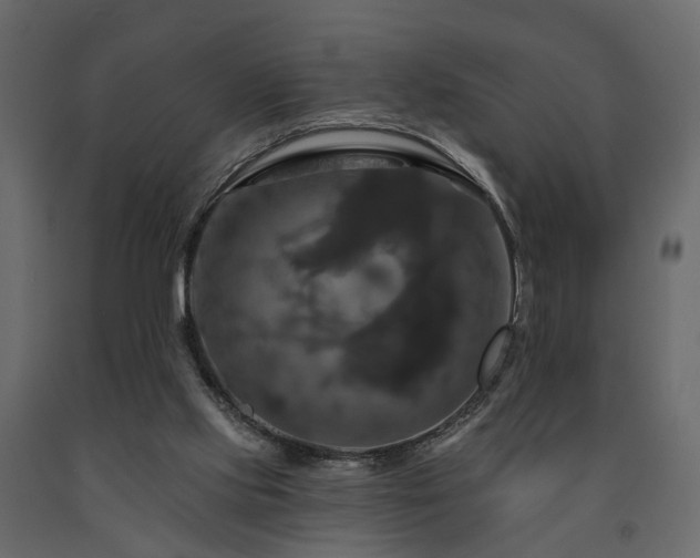 X0000091640061200708231208