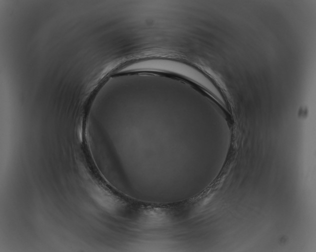 X0000091640062200708231208