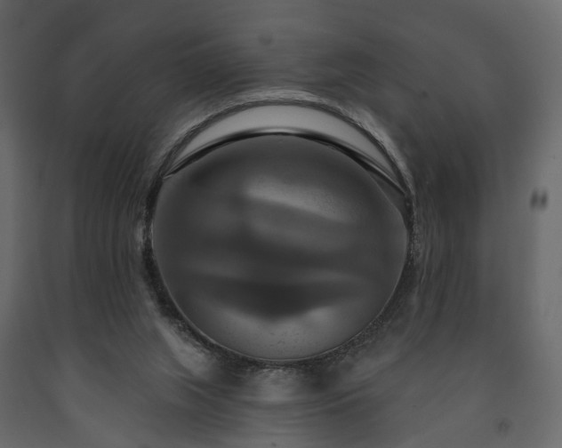 X0000091640063200708231208