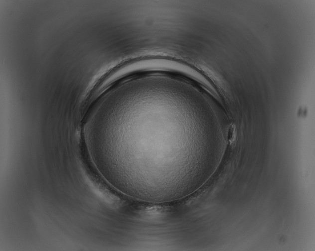X0000091640064200708231208