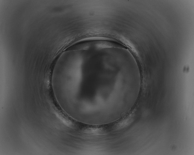 X0000091640065200708231208