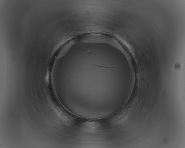 X0000091640067200708231208