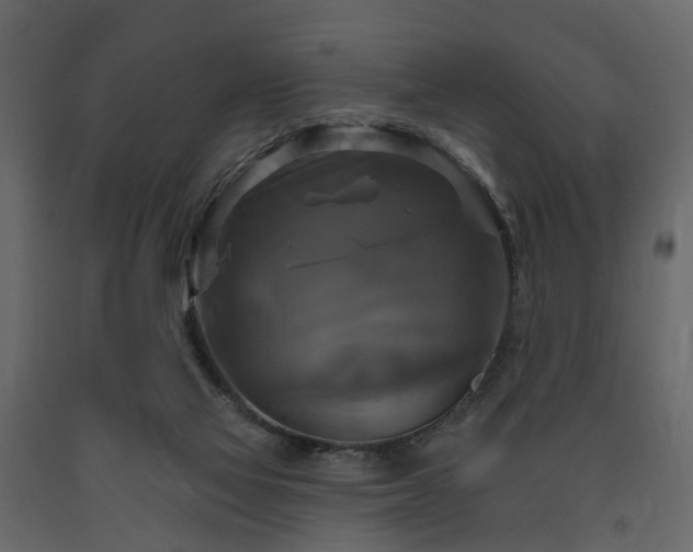 X0000091640069200708231208