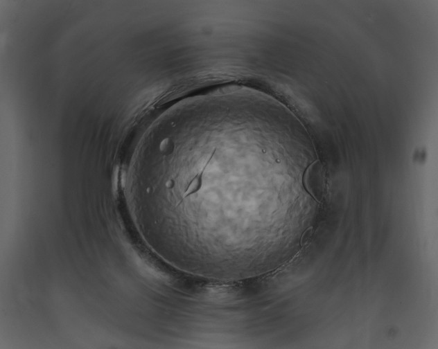 X0000091640070200708231208