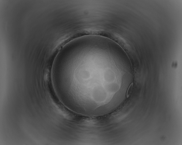 X0000091640071200708231208