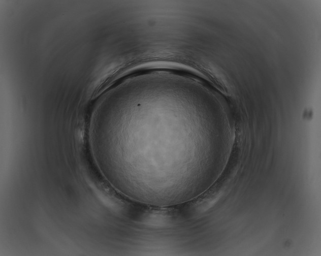 X0000091640072200708231208