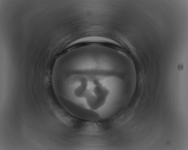 X0000091640073200708231208