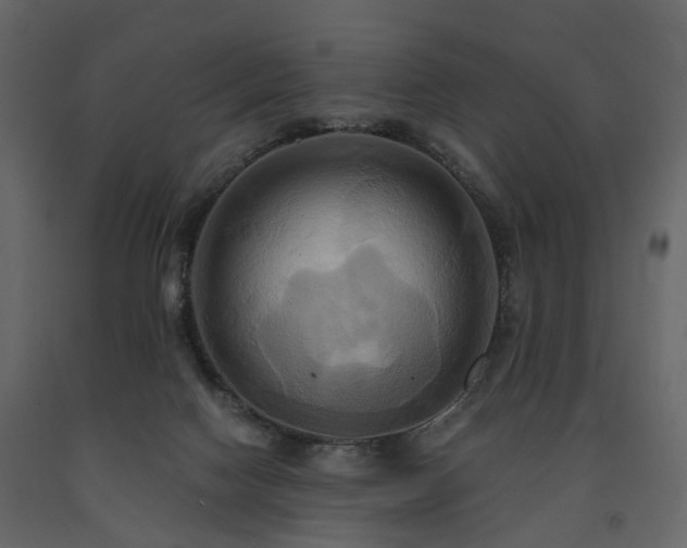 X0000091640074200708231208