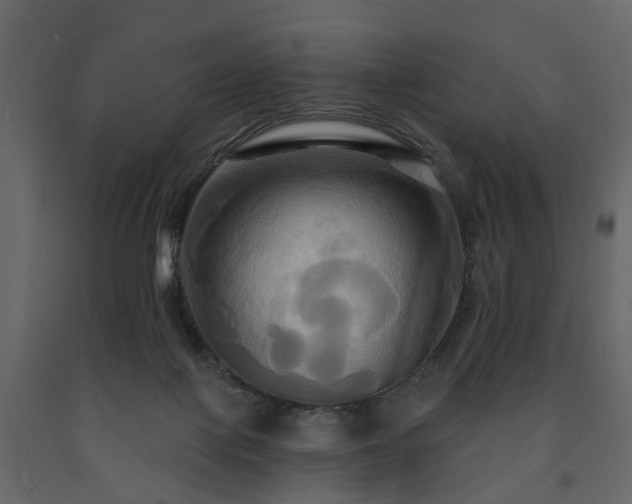 X0000091640075200708231208