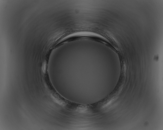 X0000091640076200708231208