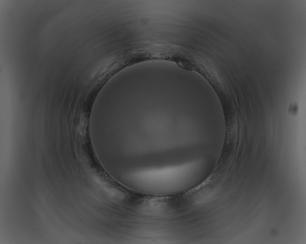 X0000091640078200708231208