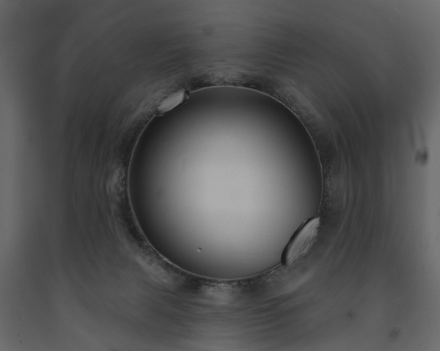 X0000091640079200708231208