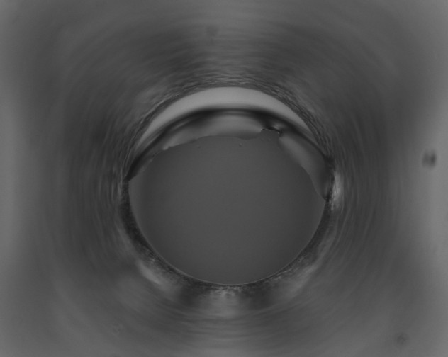 X0000091640080200708231208