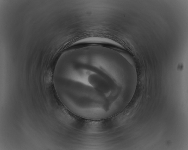 X0000091640081200708231208