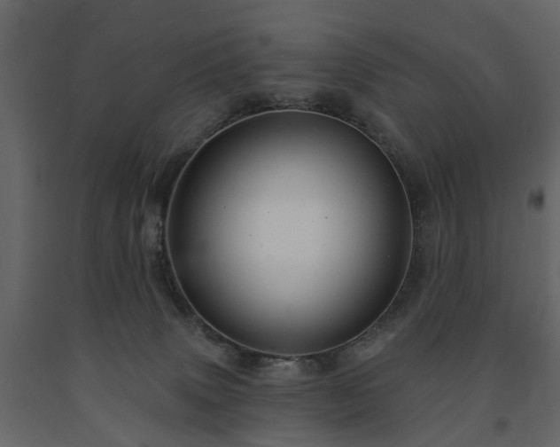 X0000091640083200708231208
