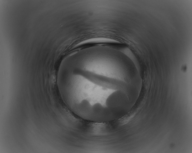 X0000091640085200708231208