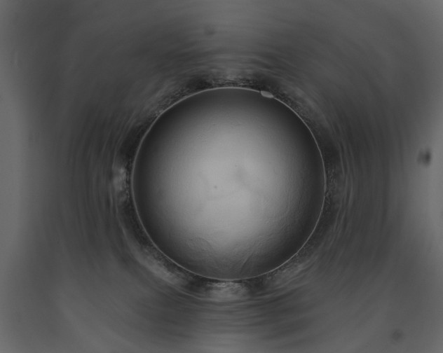 X0000091640087200708231209