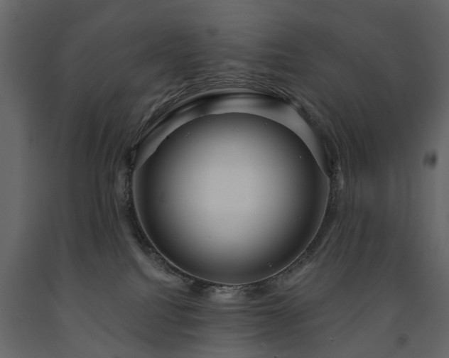 X0000091640088200708231209