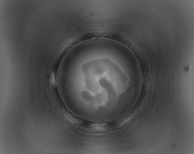X0000091640089200708231209