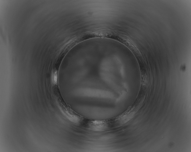 X0000091640095200708231209