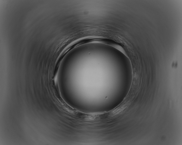 X0000091640096200708231209