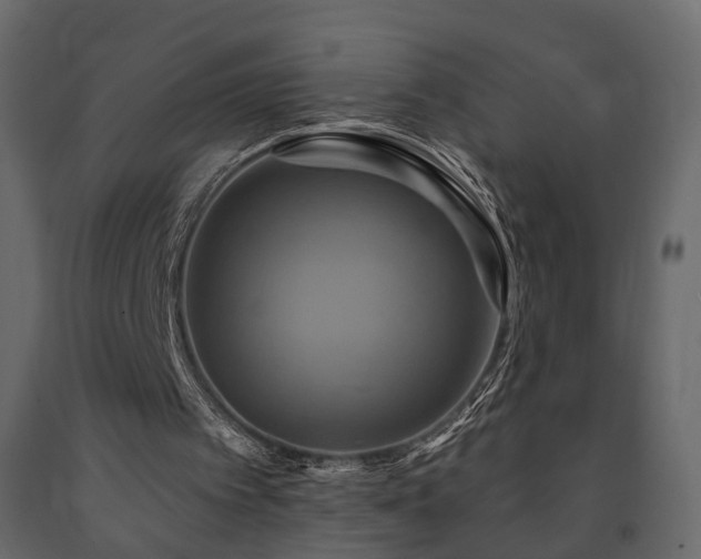 X0000091640097200708231208
