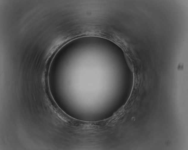 X0000091640098200708231208