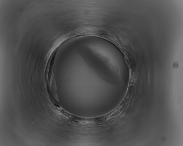 X0000091640099200708231208