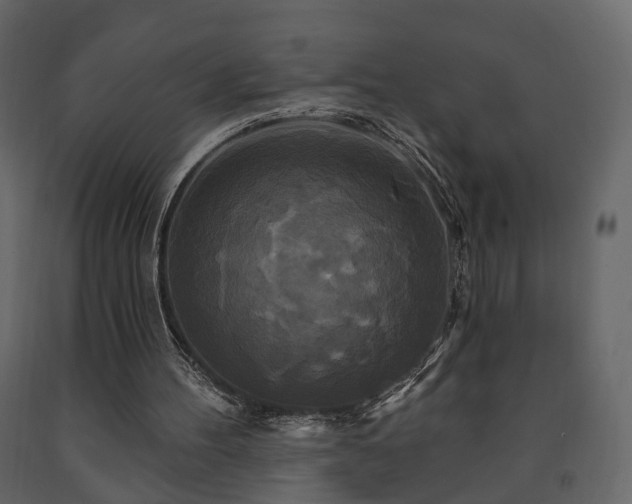 X0000091640100200708231208