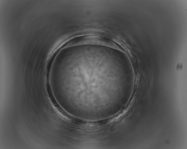 X0000091640101200708231208