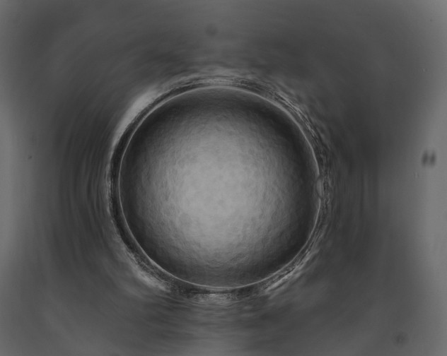 X0000091640102200708231208