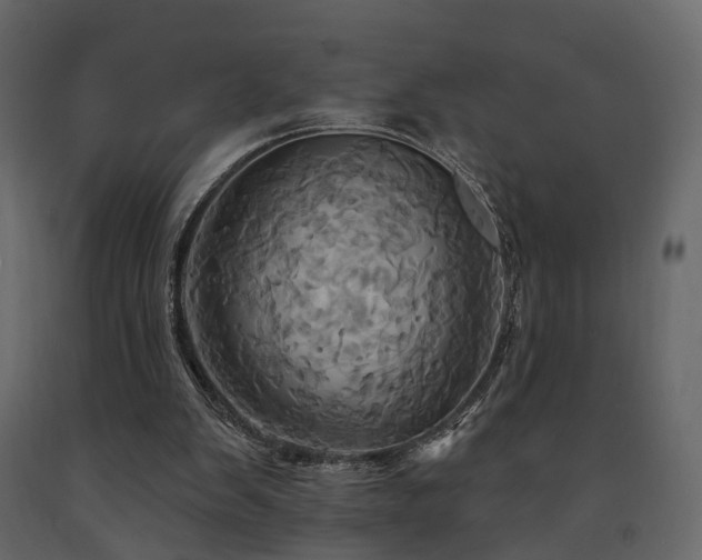 X0000091640103200708231208