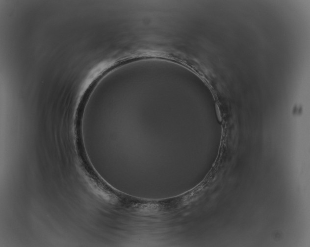X0000091640104200708231208