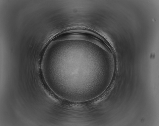 X0000091640105200708231208